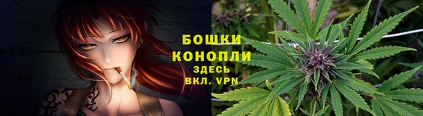 дмт Арсеньев