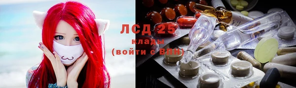 дмт Арсеньев