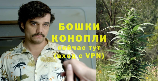 дмт Арсеньев