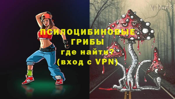 дмт Арсеньев