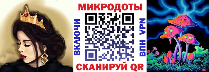 Псилоцибиновые грибы Psilocybe  Кочубеевское 